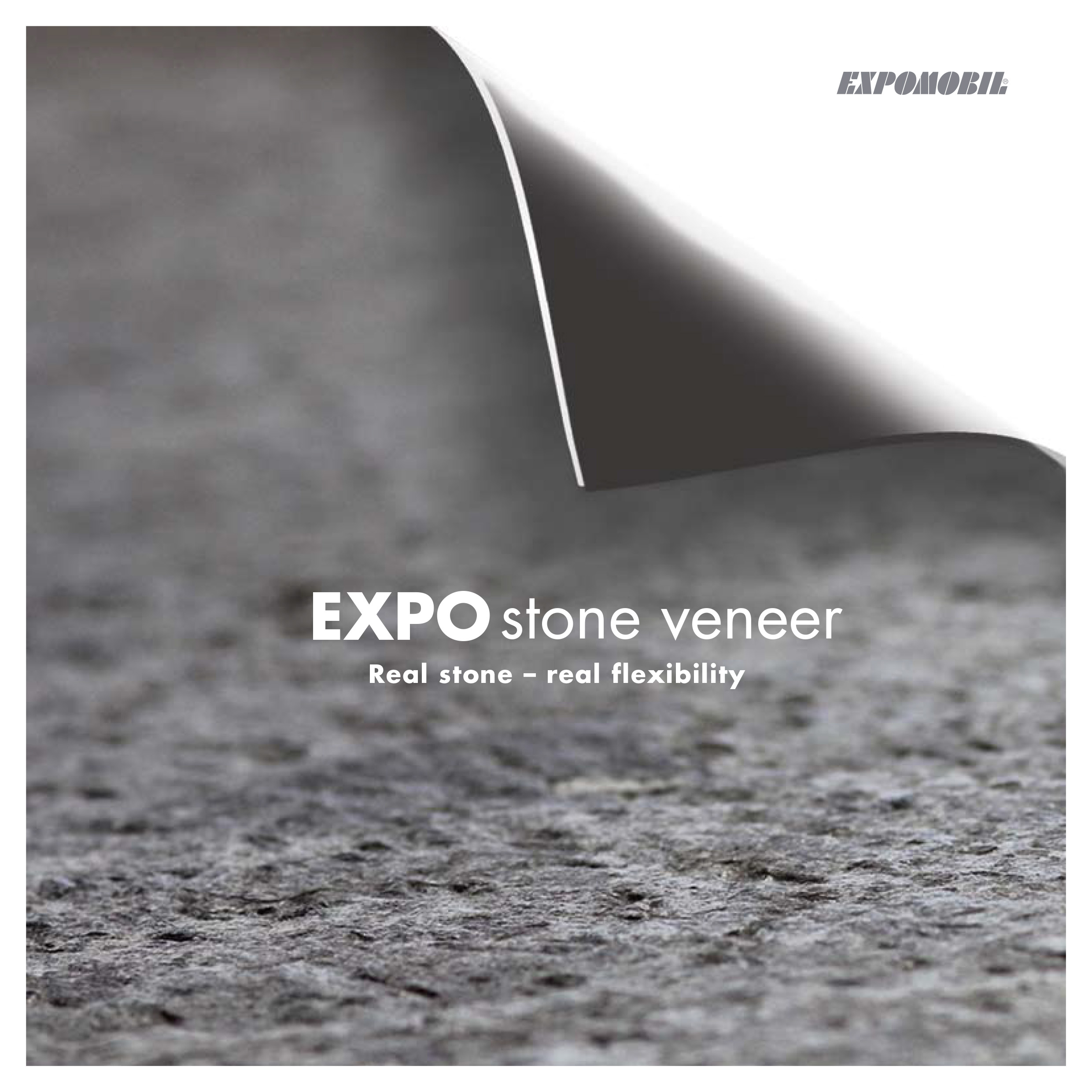 EXPOstone veneer-1